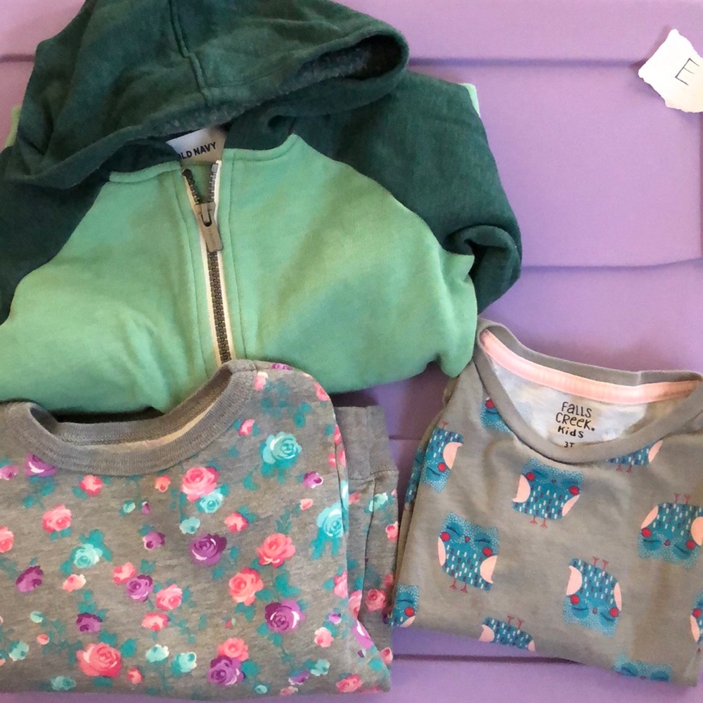 Girls sweatshirts (2) & long sleeve tee (1-owls)
